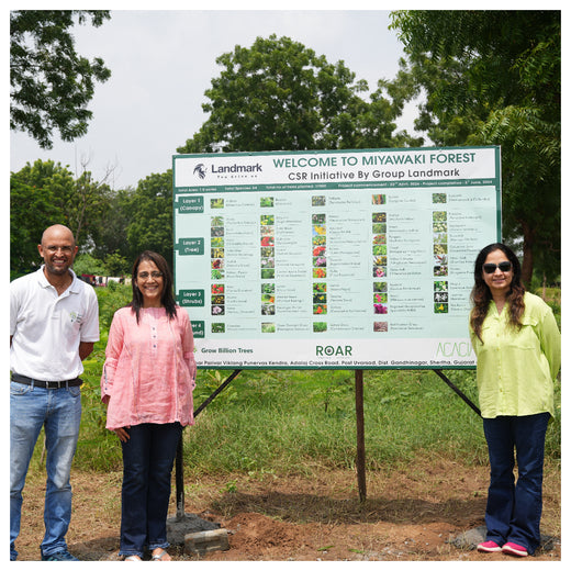 Group Landmark's ROAR (Reduce to Zero, Add Responsibility) Initiative: Miyawaki Forests – 1 year