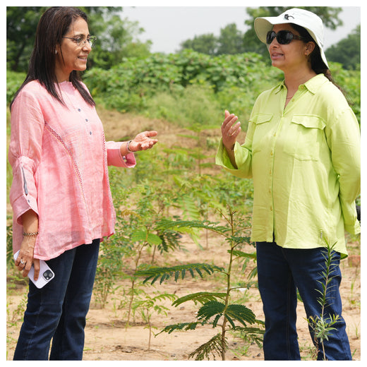 Group Landmark's ROAR (Reduce to Zero, Add Responsibility) Initiative: Miyawaki Forests – 1 year