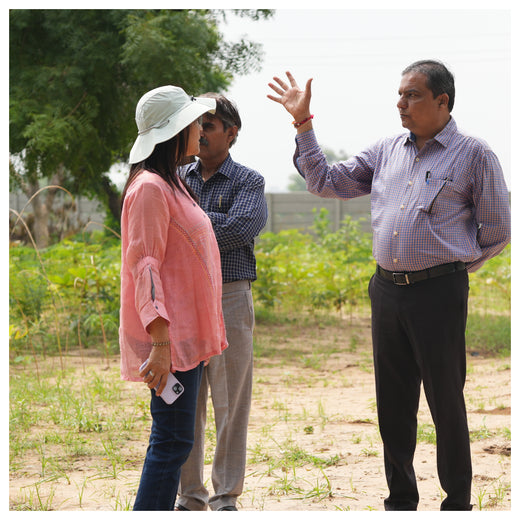 Group Landmark's ROAR (Reduce to Zero, Add Responsibility) Initiative: Miyawaki Forests – 1 year