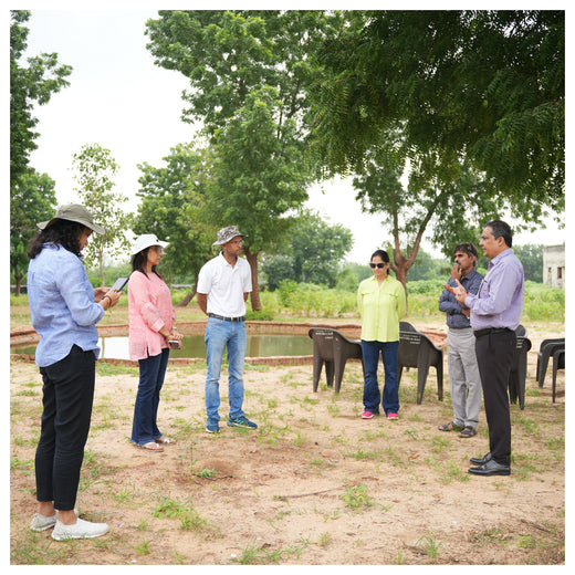 Group Landmark's ROAR (Reduce to Zero, Add Responsibility) Initiative: Miyawaki Forests – 1 year