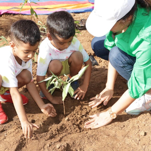 Group Landmark's ROAR (Reduce to Zero, Add Responsibility) Initiative: Miyawaki Forests – 6 months