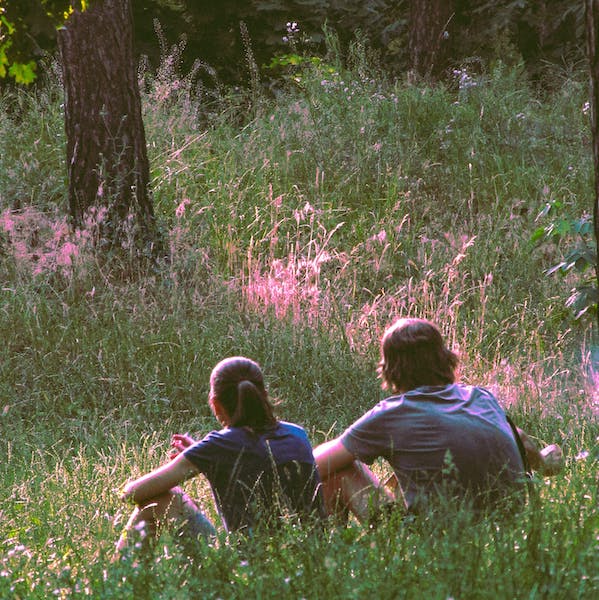Memory Meadows - 25 Trees Grove: Perfect Valentine's Day Gift