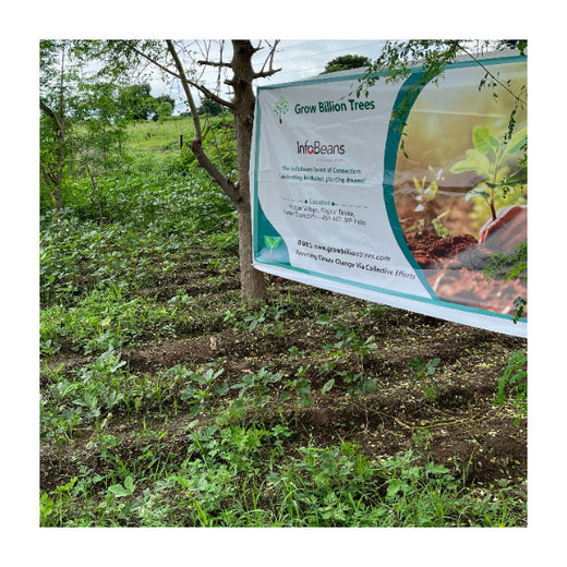 Greening Madhya Pradesh: Grow Billion Trees Drives Sustainable Agroforestry Transformation – 6 months