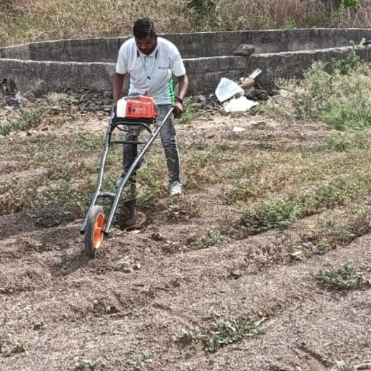 Greening Madhya Pradesh: Grow Billion Trees Drives Sustainable Agroforestry Transformation – Planting
