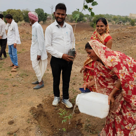 Greening Madhya Pradesh: Grow Billion Trees Drives Sustainable Agroforestry Transformation – Planting