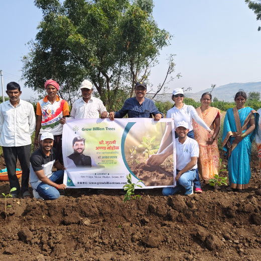 Shri Murlidhar Kisan Mohol’s Birthday Tree Plantation for Maharashtra – Planting