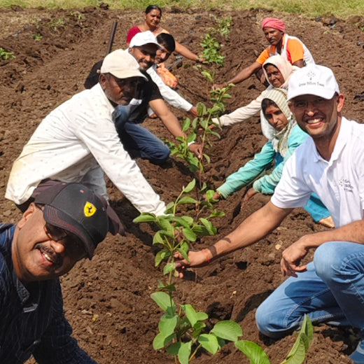 Shri Murlidhar Kisan Mohol’s Birthday Tree Plantation for Maharashtra – Planting