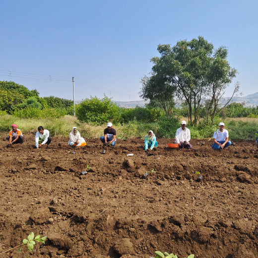 Shri Murlidhar Kisan Mohol’s Birthday Tree Plantation for Maharashtra – Planting