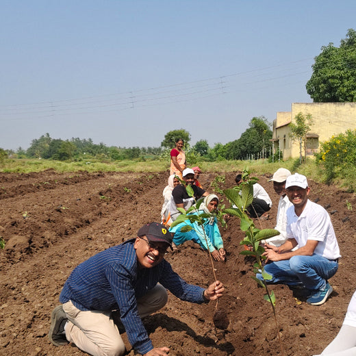 Shri Murlidhar Kisan Mohol’s Birthday Tree Plantation for Maharashtra – Planting