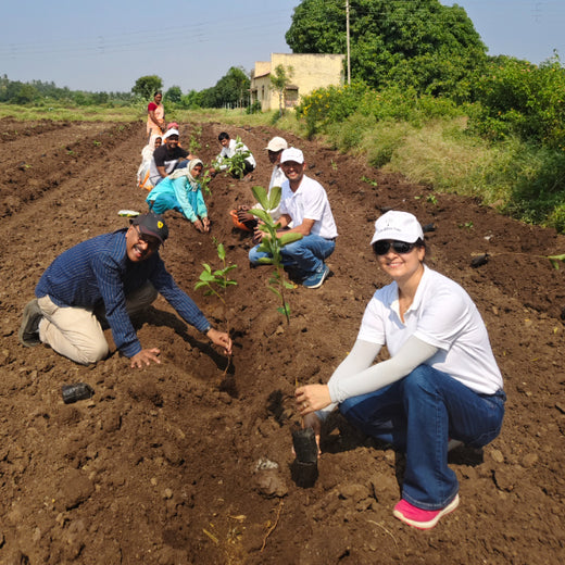 Shri Murlidhar Kisan Mohol’s Birthday Tree Plantation for Maharashtra – Planting