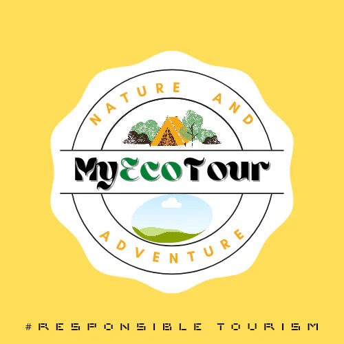 MyEcoTour's Forest