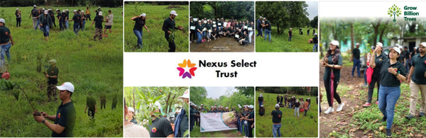 Empowering Employees, Enriching Ecosystems: Nexus Select Trust’s Green Vision for Employee Engagement