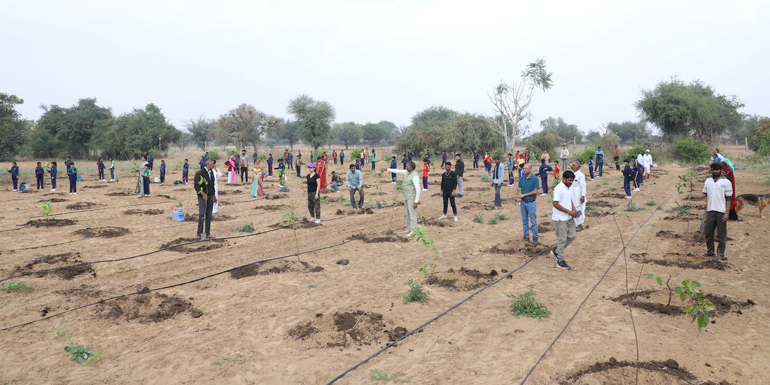 NGO for Beach Cleaning in Mumbai: Transforming Dirty Shores into Stunn ...