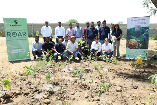Group Landmark's ROAR (Reduce to Zero, Add Responsibility) Initiative: Miyawaki Forests – 6 months