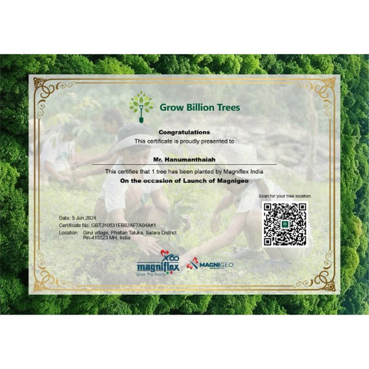 Celebrating Magnigeo's Launch: Polyflex's Agroforestry Initiative – Planting