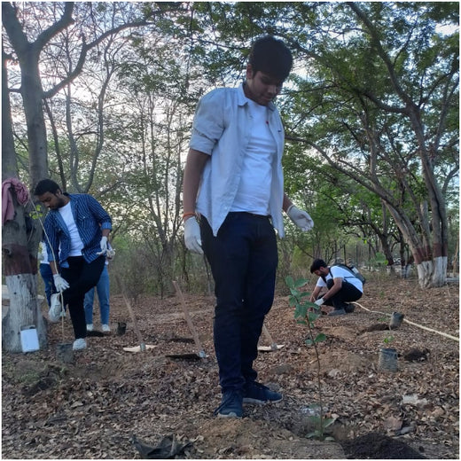 Tech in Bloom: PodTech IO’s Journey to a Greener Future – Planting