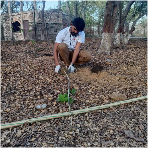 Tech in Bloom: PodTech IO’s Journey to a Greener Future – Planting