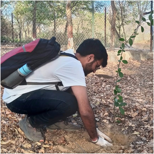 Tech in Bloom: PodTech IO’s Journey to a Greener Future – Planting