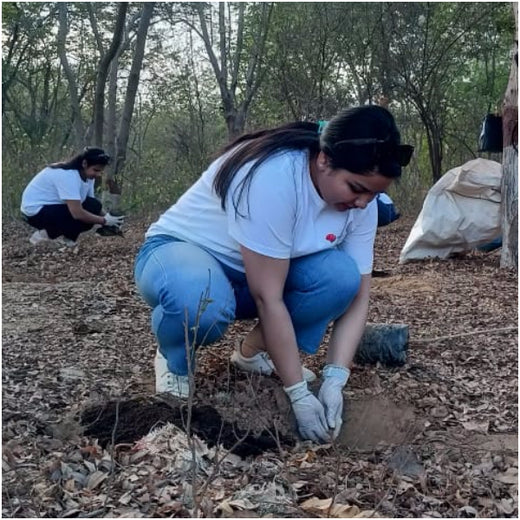 Tech in Bloom: PodTech IO’s Journey to a Greener Future – Planting