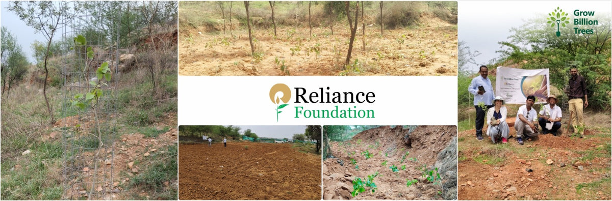 Reliance Foundation's Biodiversity Restoration Project: Sunhera Village