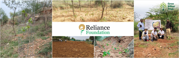 Reliance Foundation's Biodiversity Restoration Project: Sunhera Village