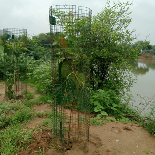 Reliance Industries Initiative: Community Tree Plantation for a Greener Future – 1 year