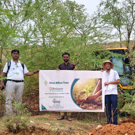 Reliance Foundation's Biodiversity Restoration Project: Sunhera Village – Planting