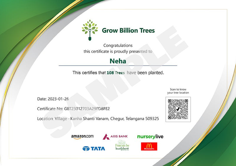 Trees for Maha Shivratri