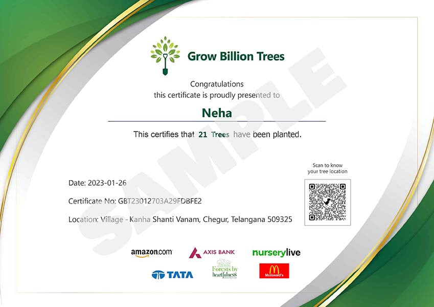 Trees for Gudi Padwa (22nd Mar)