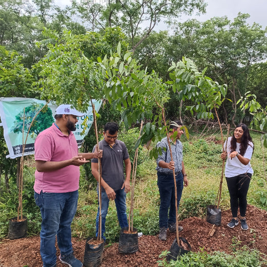 EACH ONE PLANT ONE: SentinelOne’s Green Commitment to Urban Sustainability – Planting