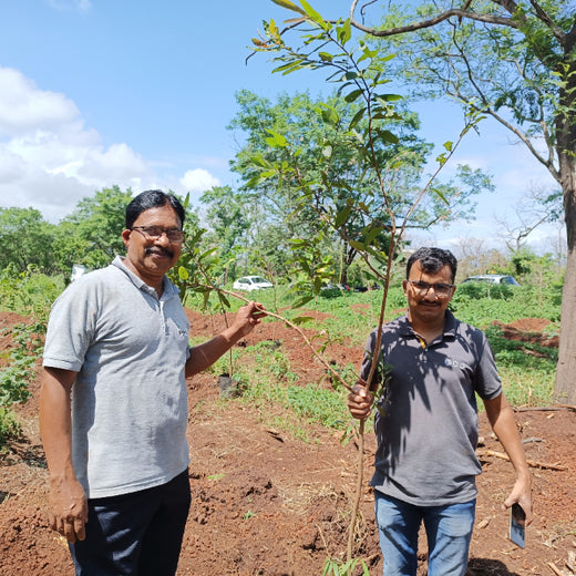 EACH ONE PLANT ONE: SentinelOne’s Green Commitment to Urban Sustainability – Planting