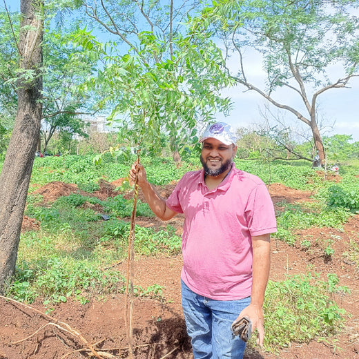 EACH ONE PLANT ONE: SentinelOne’s Green Commitment to Urban Sustainability – Planting
