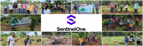 Urban Tree Plantation by SentinelOne