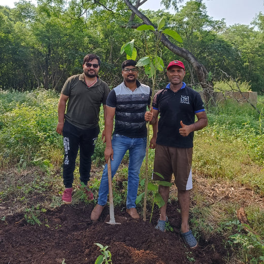 "TATA AIG's Green Initiative in Pune: Nurturing Urban Forests Beyond Insurance" – Planting