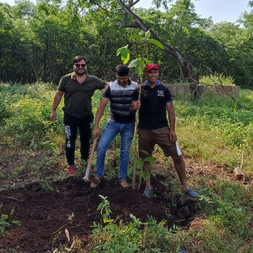 "TATA AIG's Green Initiative in Pune: Nurturing Urban Forests Beyond Insurance" – Planting