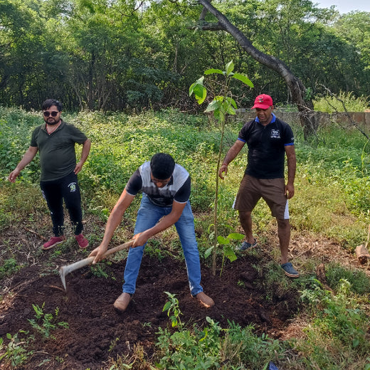 "TATA AIG's Green Initiative in Pune: Nurturing Urban Forests Beyond Insurance" – Planting