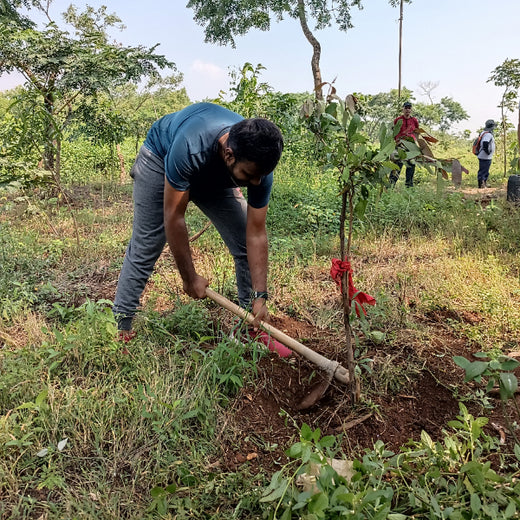 "TATA AIG's Green Initiative in Pune: Nurturing Urban Forests Beyond Insurance" – Planting