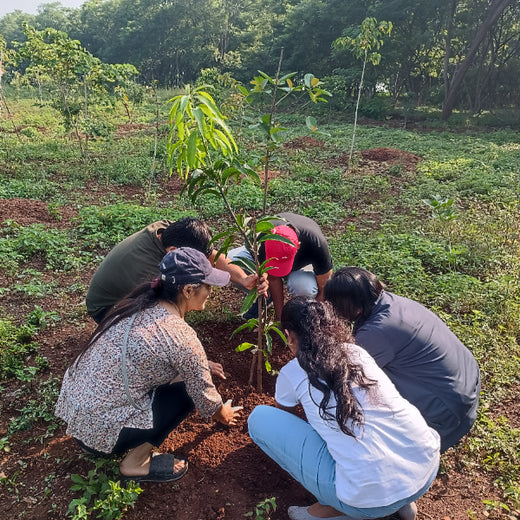 "TATA AIG's Green Initiative in Pune: Nurturing Urban Forests Beyond Insurance" – Planting