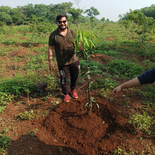 "TATA AIG's Green Initiative in Pune: Nurturing Urban Forests Beyond Insurance" – Planting