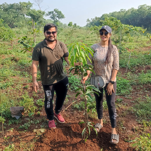 "TATA AIG's Green Initiative in Pune: Nurturing Urban Forests Beyond Insurance" – Planting