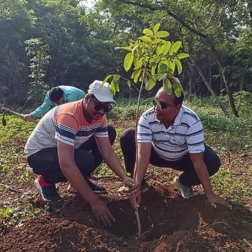 "TATA AIG's Green Initiative in Pune: Nurturing Urban Forests Beyond Insurance" – Planting