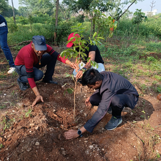 "TATA AIG's Green Initiative in Pune: Nurturing Urban Forests Beyond Insurance" – Planting