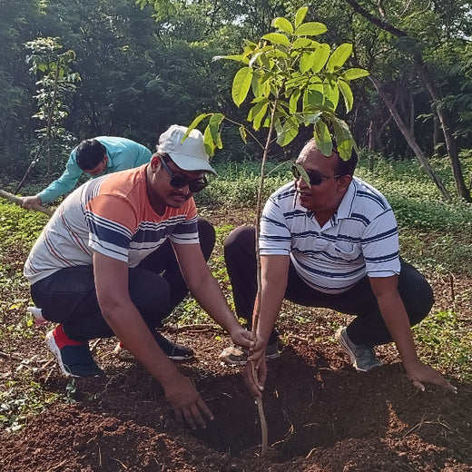 "TATA AIG's Green Initiative in Pune: Nurturing Urban Forests Beyond Insurance" – Planting
