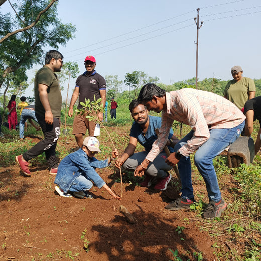 "TATA AIG's Green Initiative in Pune: Nurturing Urban Forests Beyond Insurance" – Planting