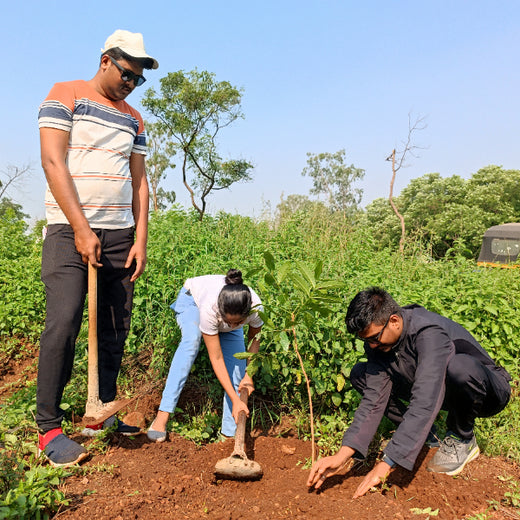 "TATA AIG's Green Initiative in Pune: Nurturing Urban Forests Beyond Insurance" – Planting