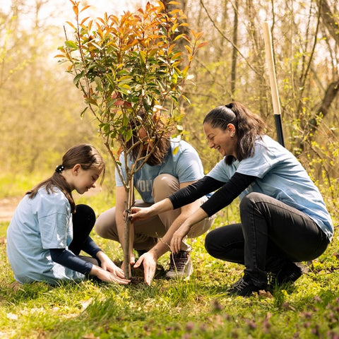 Trees as a Gift: Plant Hope & Create Lasting Environmental Impact