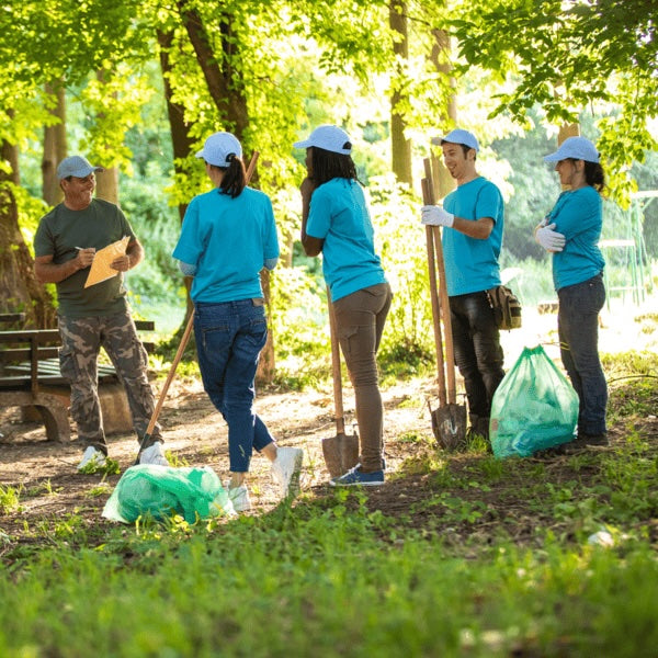 Tree Workers Solving Problem Nature's Blueprint: Trees Support All 17 SDGs Guide – Grow Billion Trees