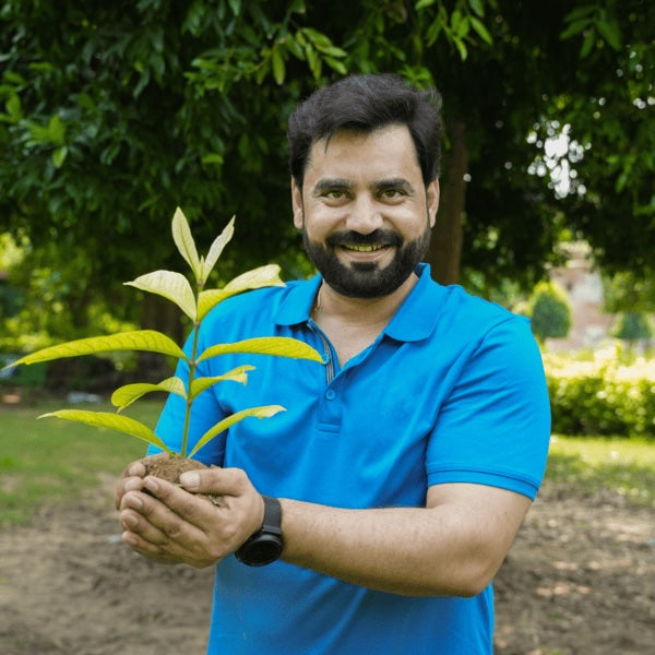 Trees for Employees