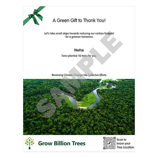 Trees for Reducing Carbon Footprint