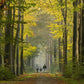 Trees to Honor the Memory of your Loved Ones